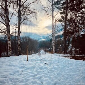 Meet your Posher, <3